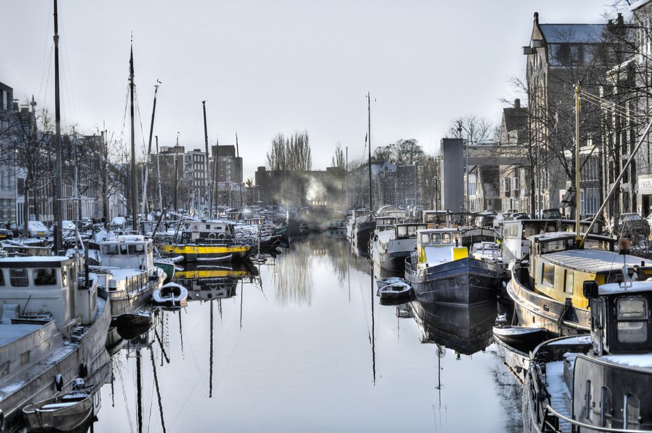 How to Read a Harbor Without a Chart