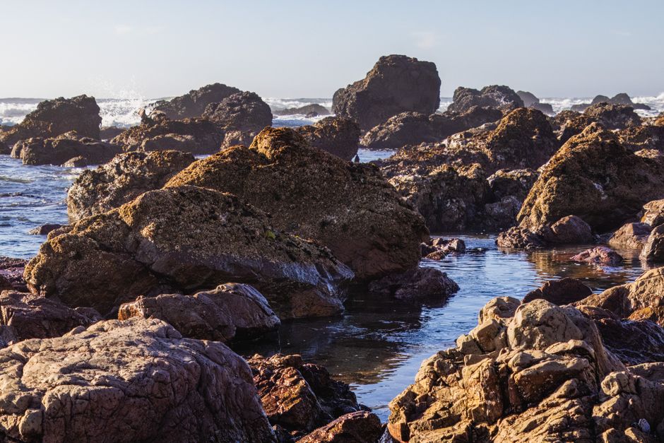 Reading the Tides: A Beginner's Guide